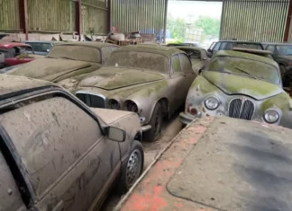 Galpão é encontrado abandonado cheio de carros raros Clássicos Abandonados / Foto: Foto: The Bearded Explorer