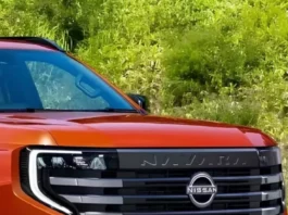 Foto Projeção: Theotle