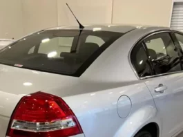 Foto: Reginaldo de Campinas