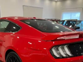 Ford Mustang GT / Foto: Reginaldo de Campinas